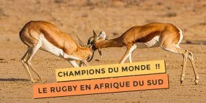 Le rubgy en Afrique du Sud !