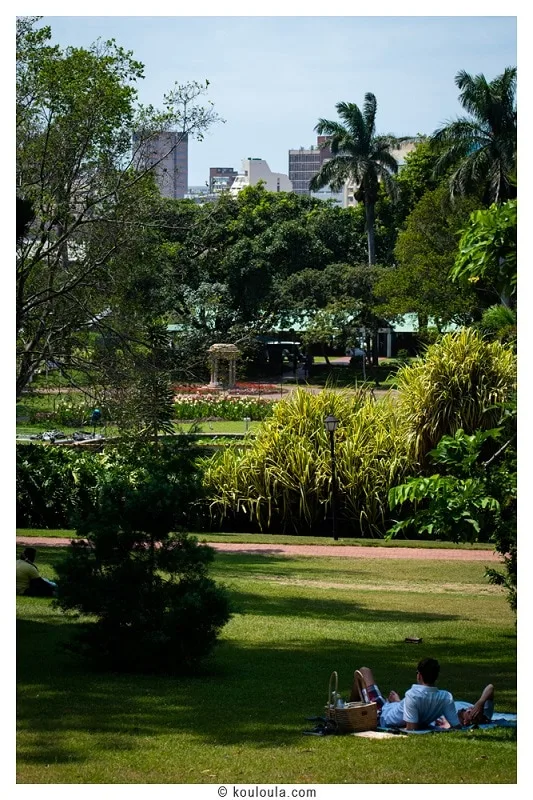 Le jardin botanique de Durban