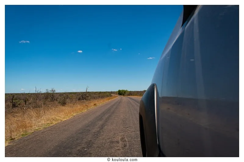 Piste du parc Kruger vue depuis la voiture, en autotour