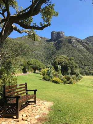 Vue sur les montagnes de Cape Town en étant au Jardin Botanique de Kirstenbosch