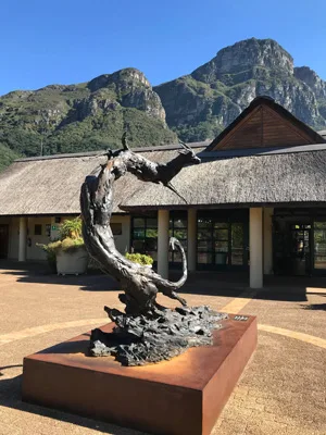 Statue de Cape Town en étant au Jardin Botanique de Kirstenbosch