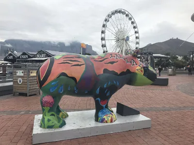Sculpture de rhinocéros peinte au V&A Waterfront, devant la grande roue