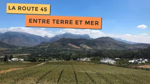 Vue magnifique sur la route des vins près de Cape Town