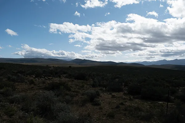 Le désert de Karoo, le plus grand désert d'Afrique du Sud !