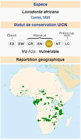 La trompe de l’éléphant, un organe hors du commun 🐘